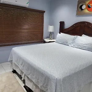 The President 5 Minutes To Devon House 4 Waterloo Avenue Kingston
